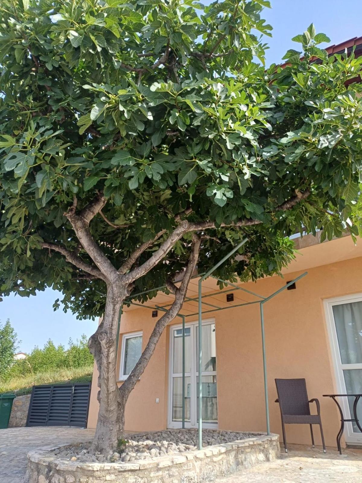 Ambiente Apartment Jasenice  Luaran gambar